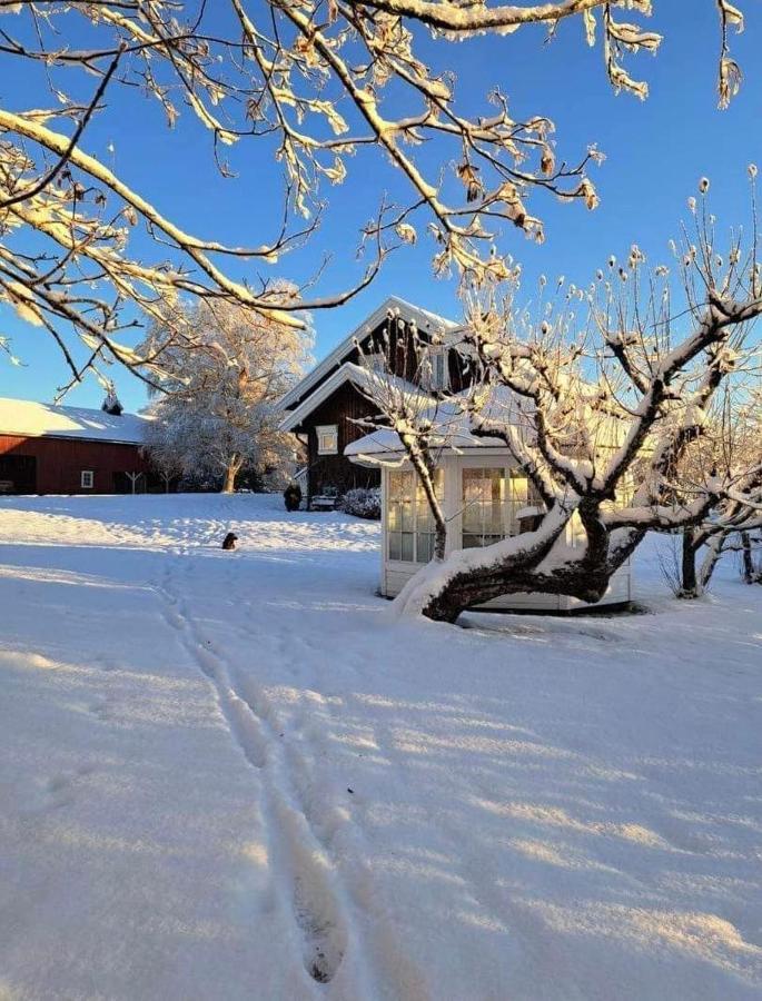 Bjorke Ostre Villa Loten Bagian luar foto